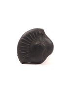 Nara-Simha Shaligram | Lion Head Shaligram represents Fearless Strength