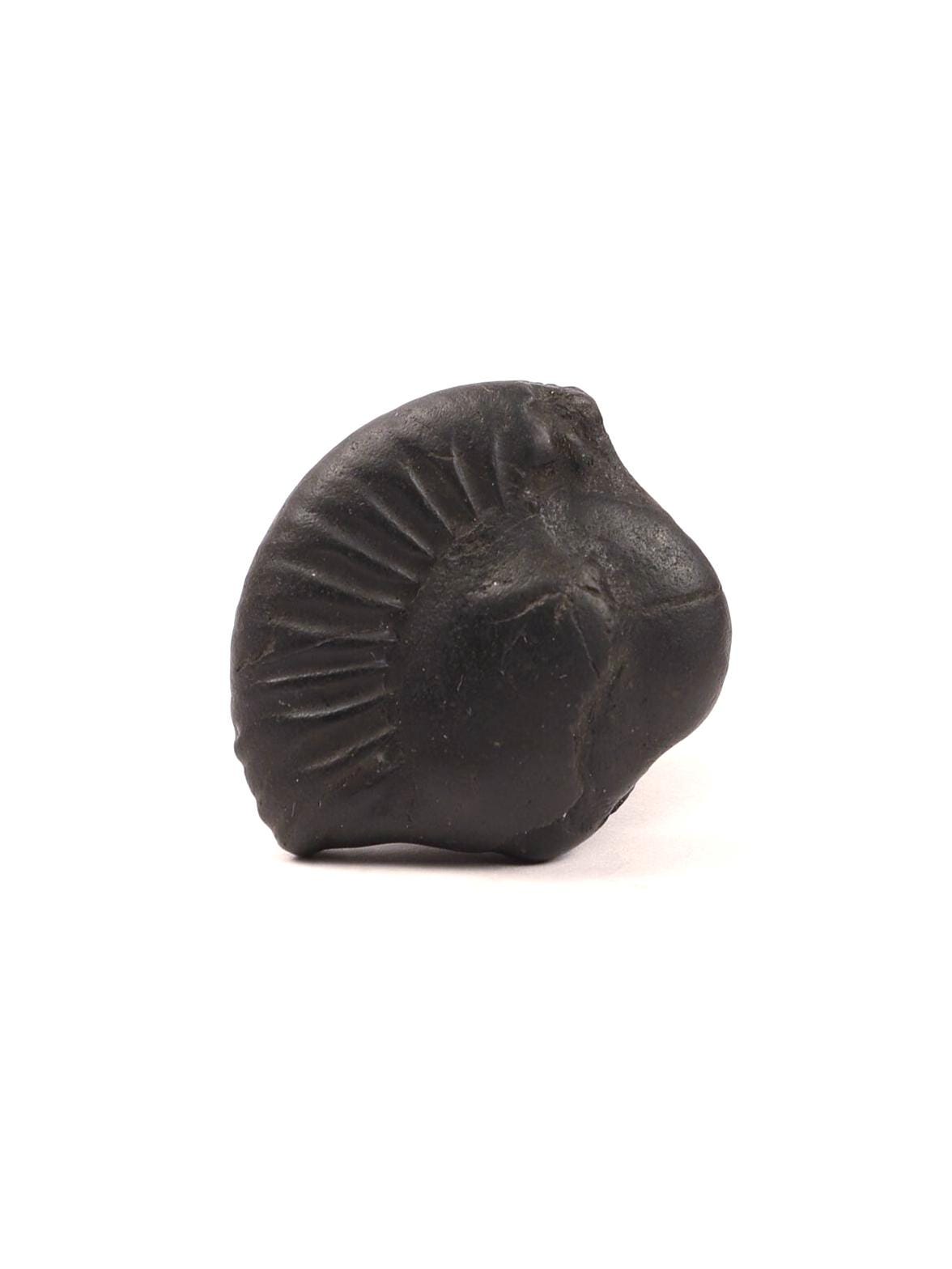 Nara-Simha Shaligram | Lion Head Shaligram represents Fearless Strength