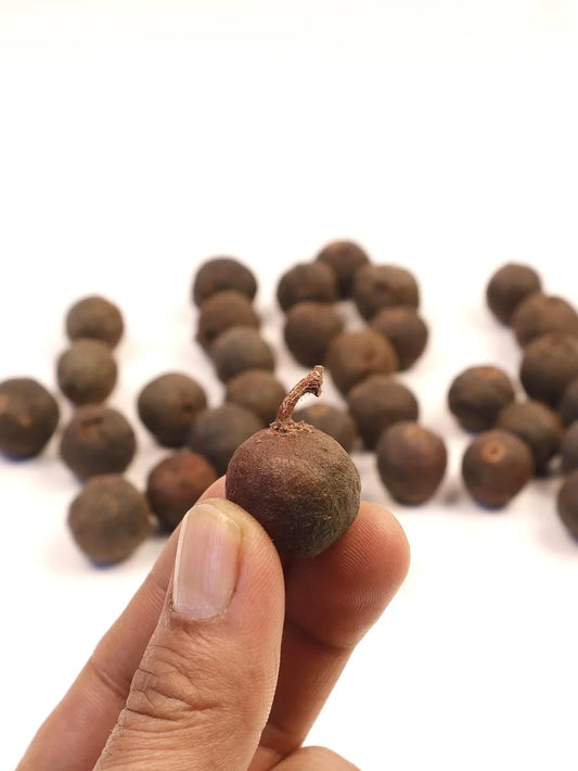 Bulk Natural Rudraksha Seeds With Shell, Nepalese Rudraksha Straight From The Tree, Price Per Pound