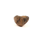 Red Golden Shaligram, Sacred Fossil From Kali Gandaki Nepal, Free Gifts Included