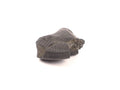 Divine Certified Shaligram Stone