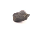 Divine Certified Shaligram Stone