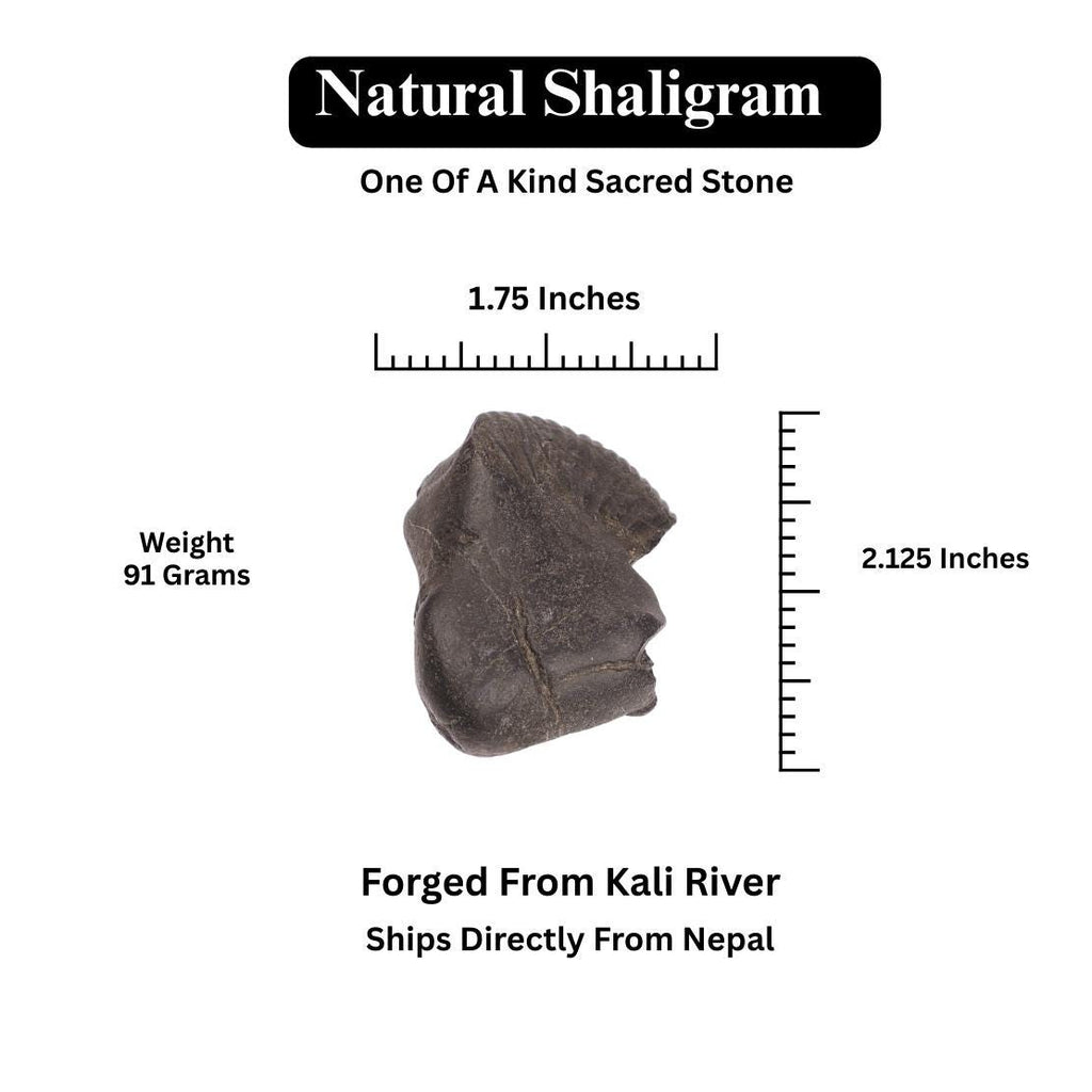 Divine Certified Shaligram Stone