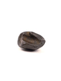 Eternal Shaligram, Sacred Ammonite Fossils ||