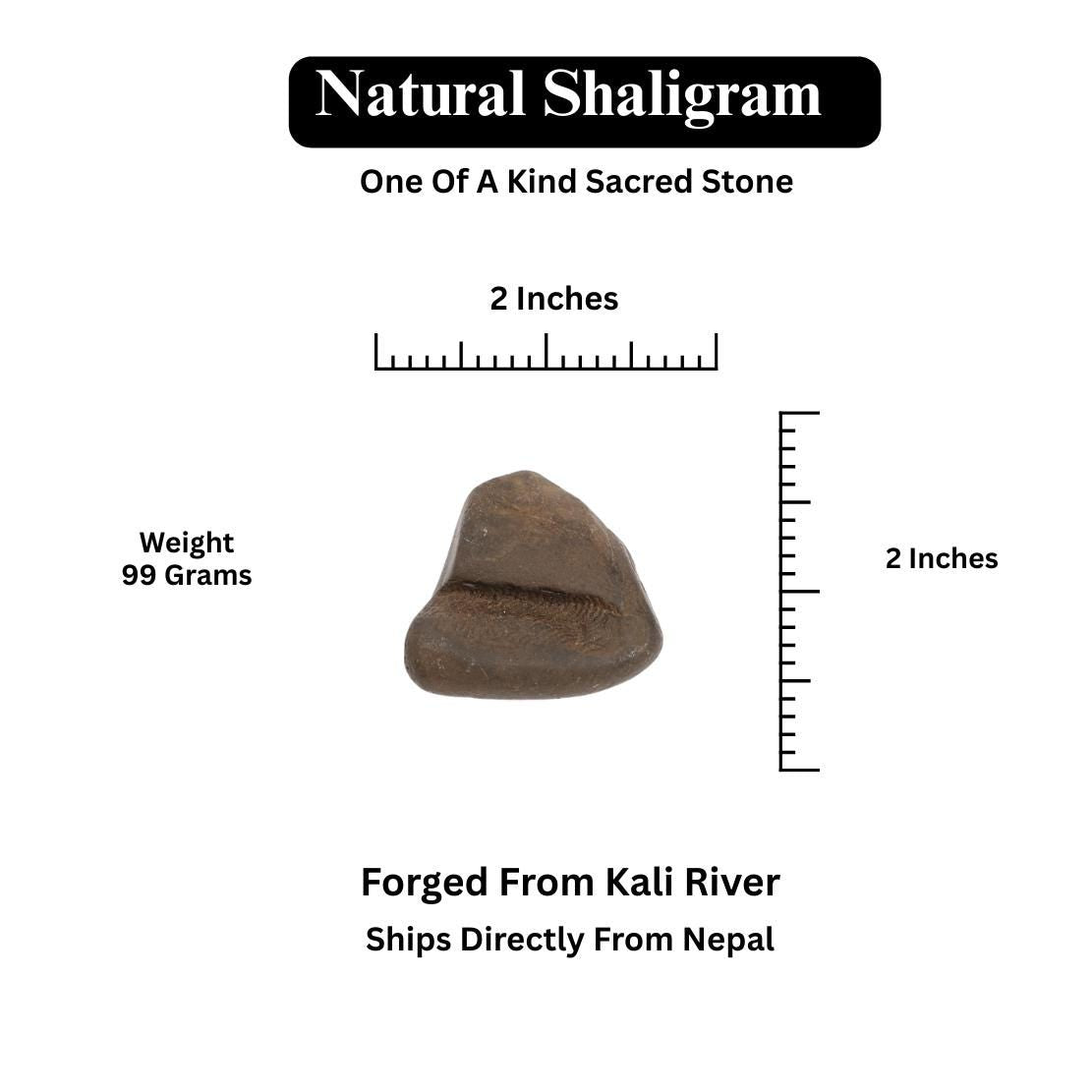 Lab Tested Holy Shaligram Stone