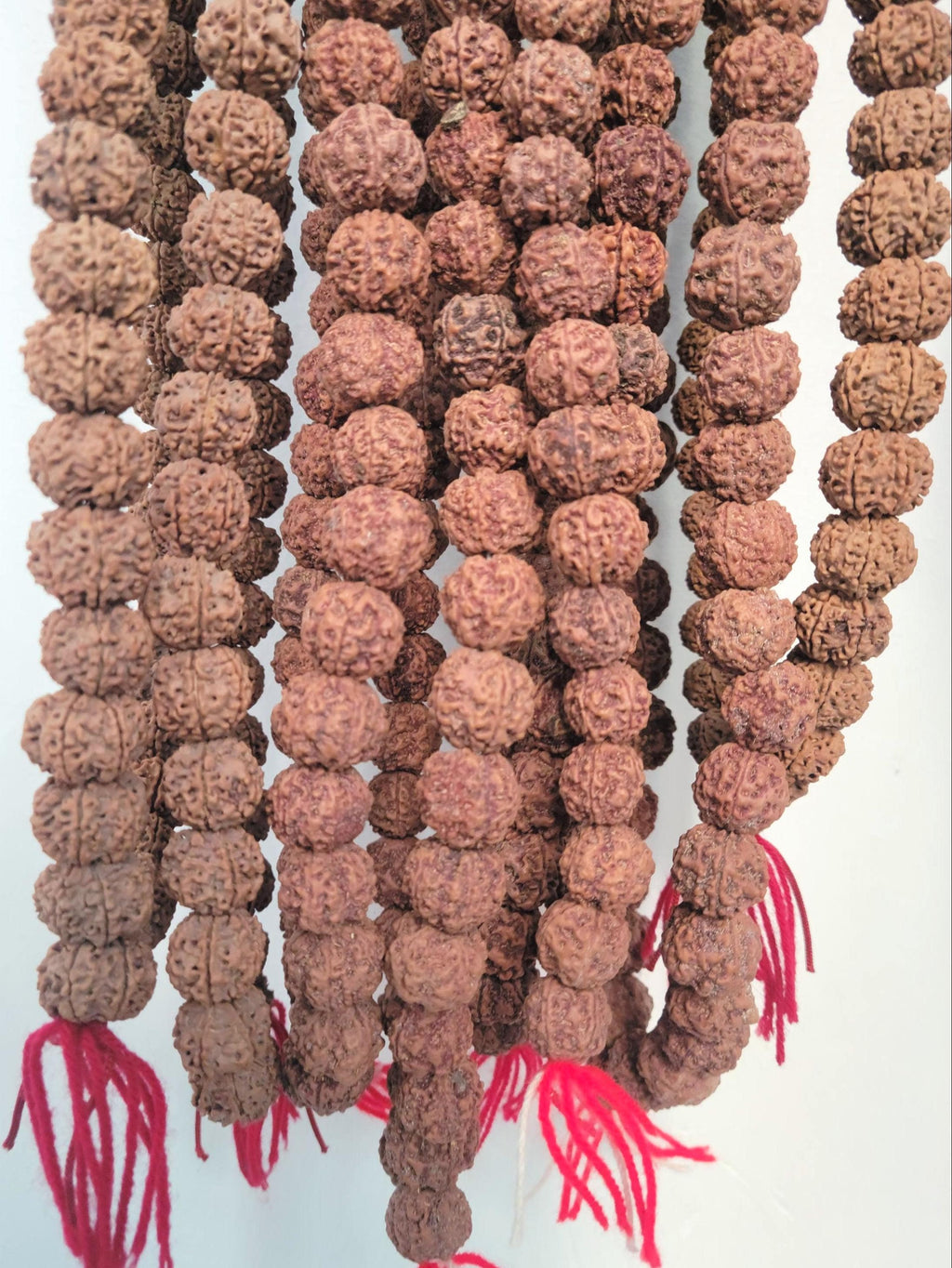 Bulk Rudraksha Donation, Sacred Offering By Om Kleem Kali