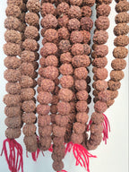 Bulk Rudraksha Donation, Sacred Offering By Om Kleem Kali
