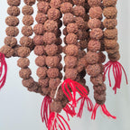 Bulk Rudraksha Donation, Sacred Offering By Om Kleem Kali