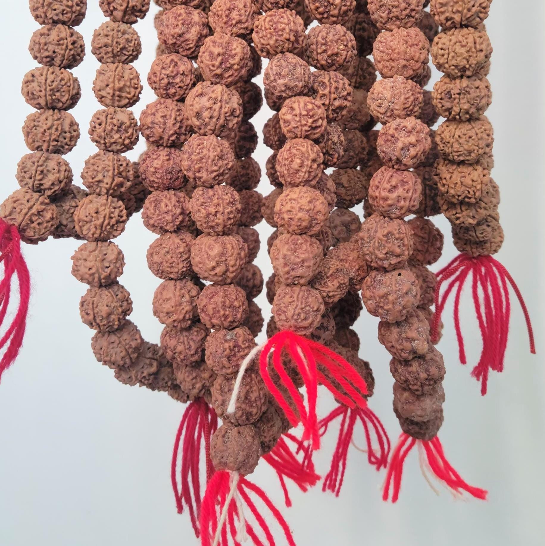 Bulk Rudraksha Donation, Sacred Offering By Om Kleem Kali