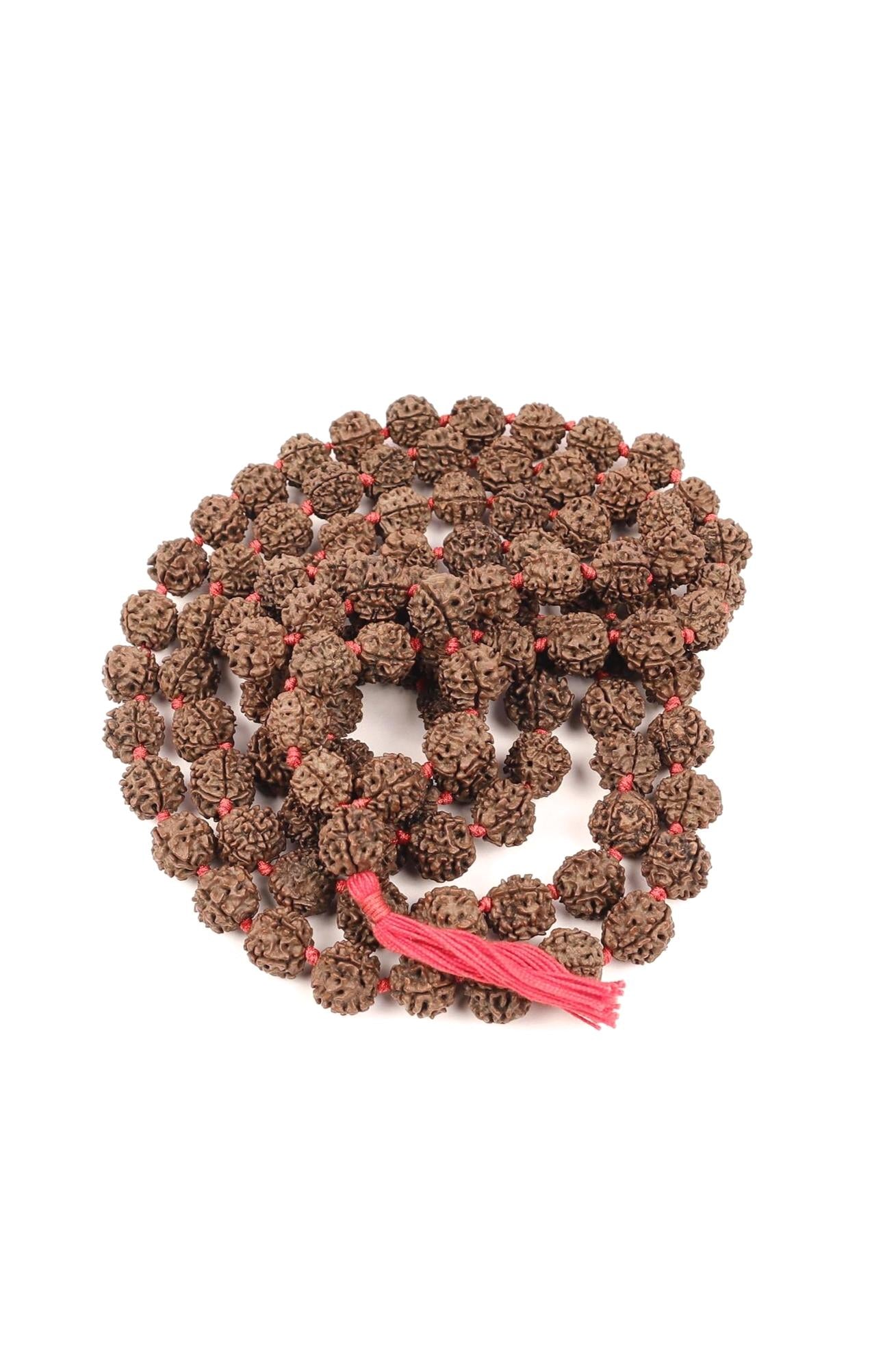 Rudraksha Mala, Aged 12 to 13 mm Shiva Prayer Beads