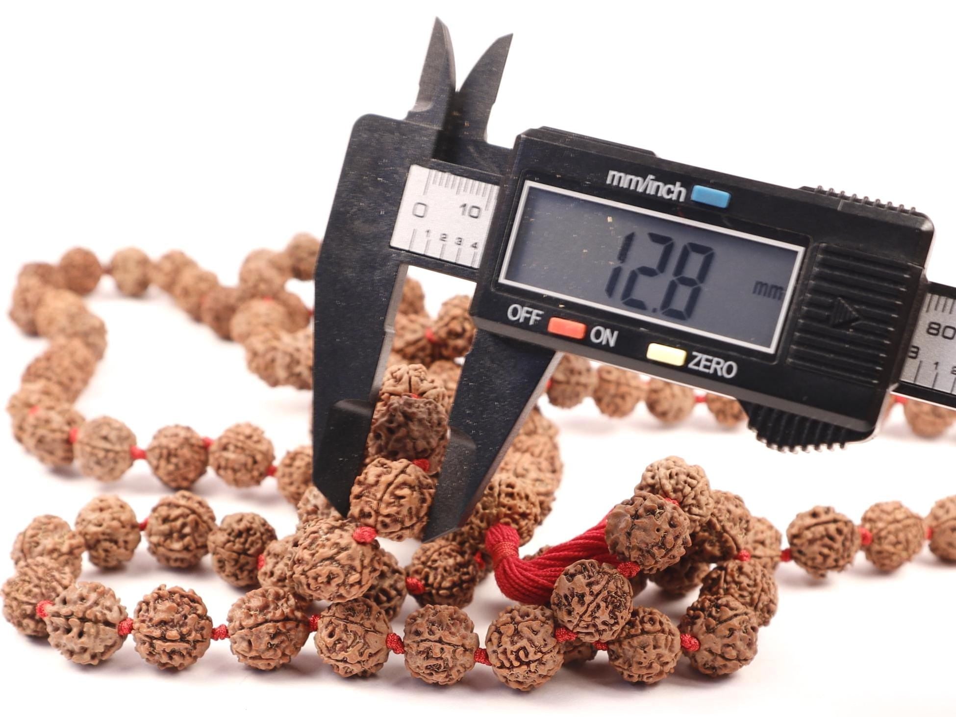 Pasupati Shiva Rudraksha Japa Mala