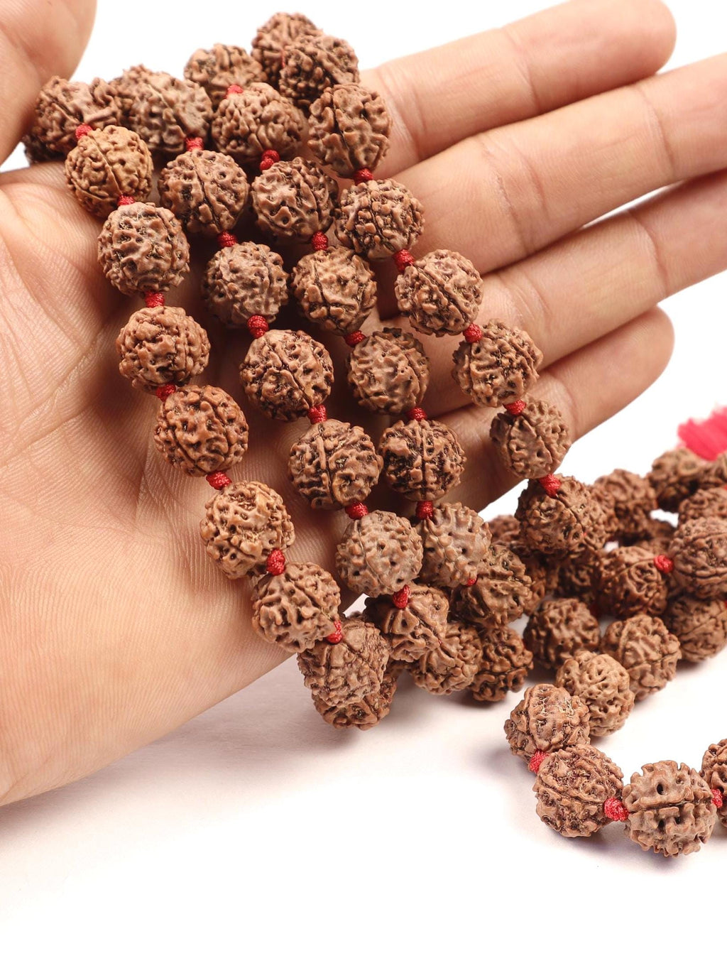 Pasupati Shiva Rudraksha Japa Mala