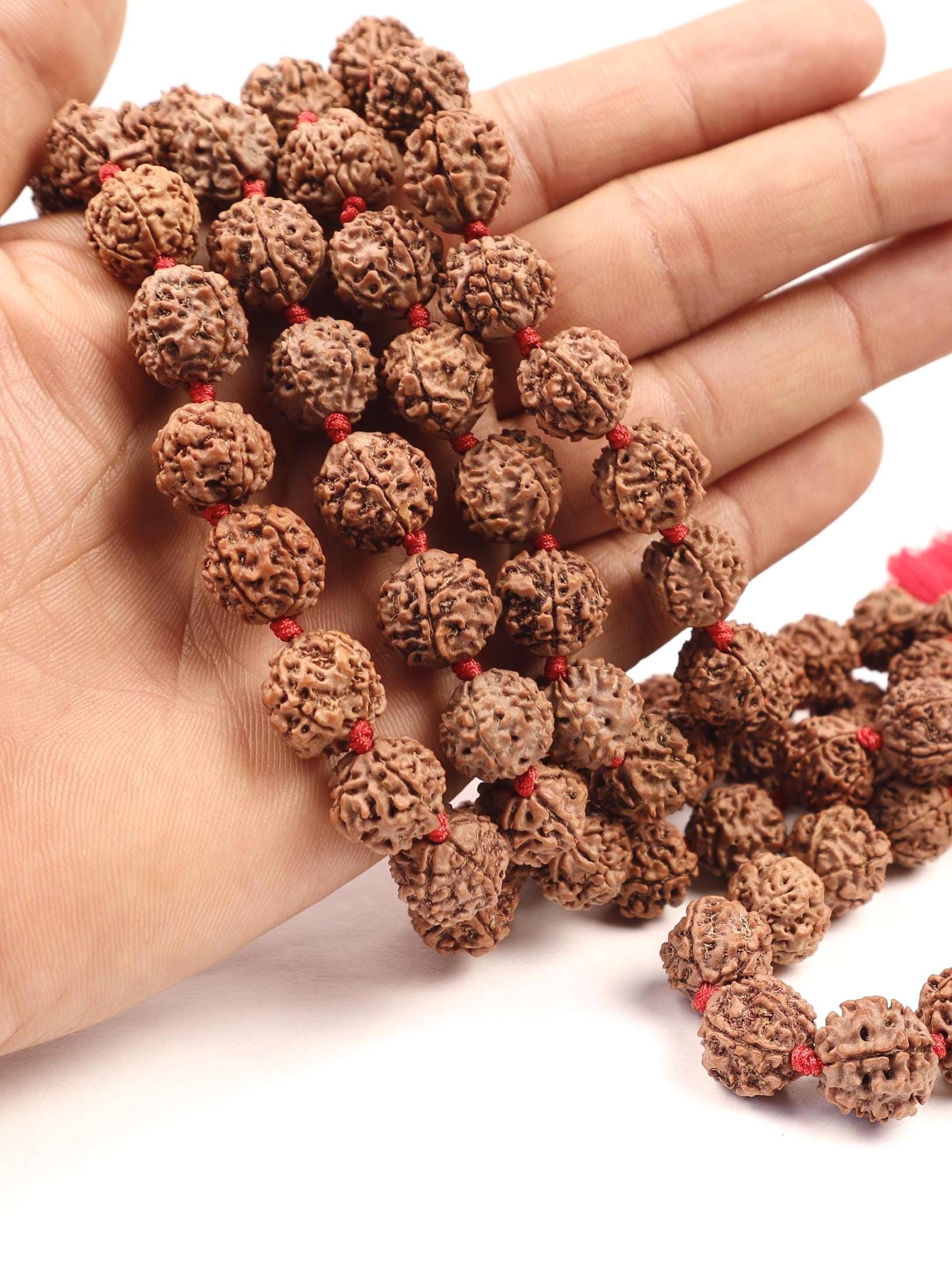 Pasupati Shiva Rudraksha Japa Mala