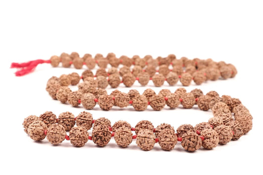 Authentic brown Rudraksha seed beads mala necklace with red string on a white background