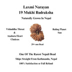 19 Faces Rudraksha Bead