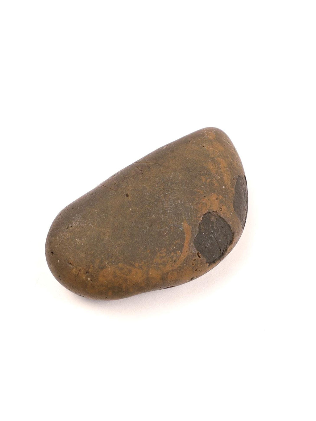 Krishna's FootPrint Shaligram, Natural Footprint Formation Shaligram Fossil, Must Have Shaligrama For Krishna Temple