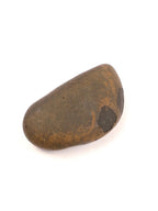 Krishna's FootPrint Shaligram, Natural Footprint Formation Shaligram Fossil, Must Have Shaligrama For Krishna Temple