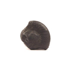 Nara-Simha Shaligram | Lion Head Shaligram represents Fearless Strength