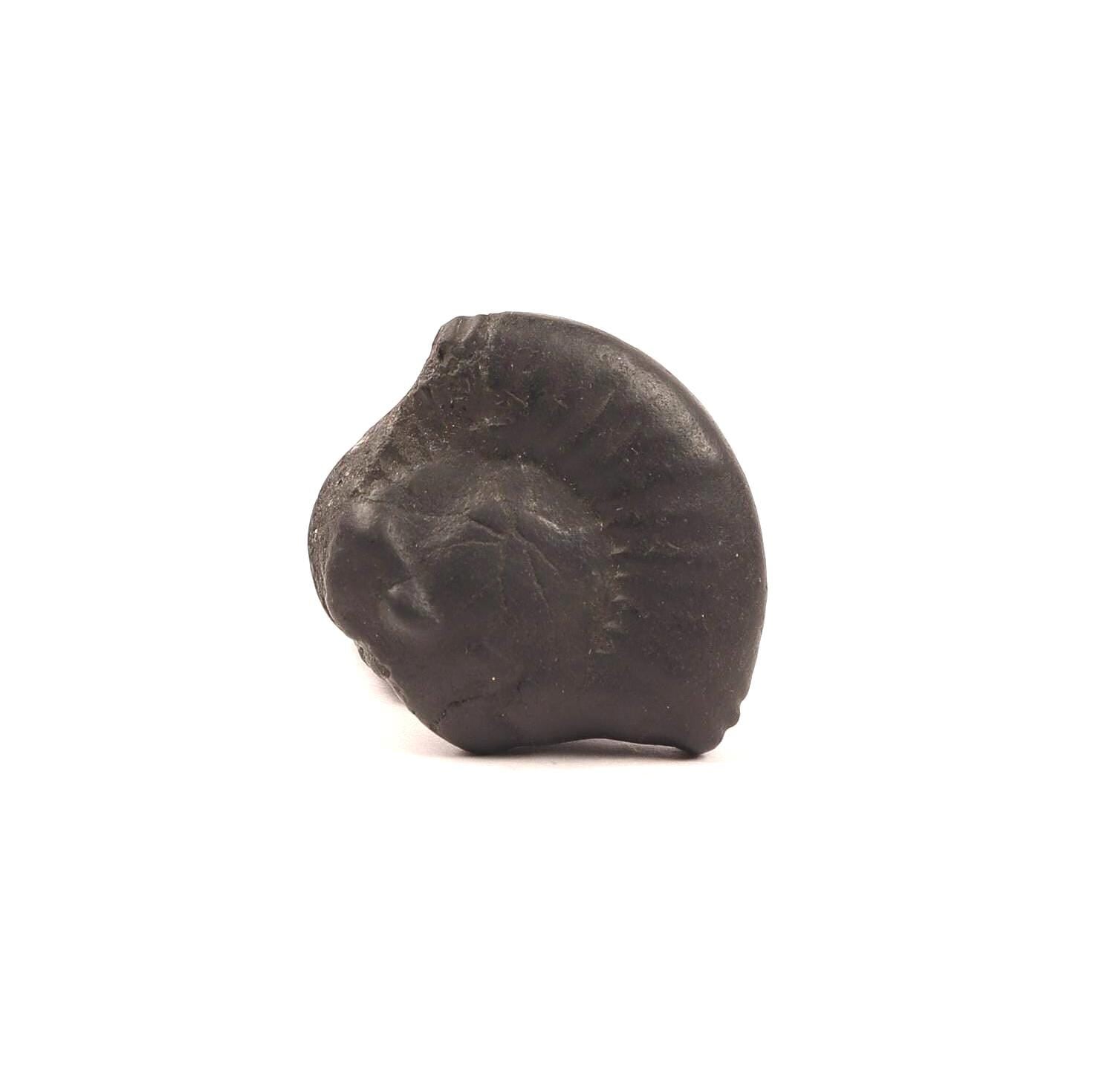 Nara-Simha Shaligram | Lion Head Shaligram represents Fearless Strength