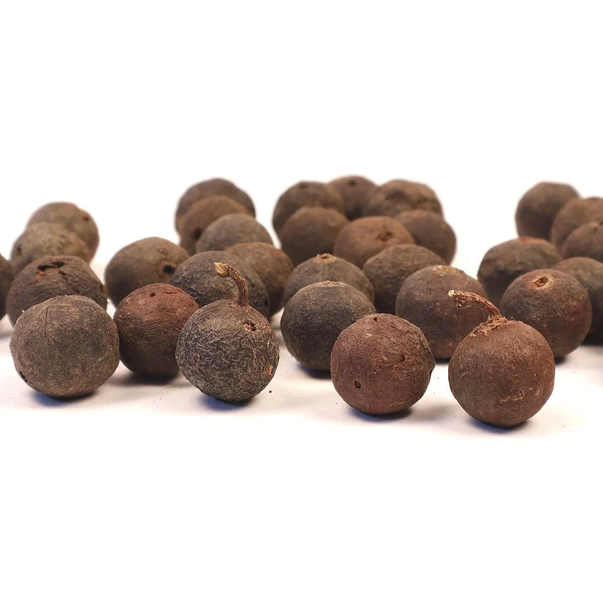 Bulk Natural Rudraksha Seeds With Shell, Nepalese Rudraksha Straight From The Tree, Price Per Pound