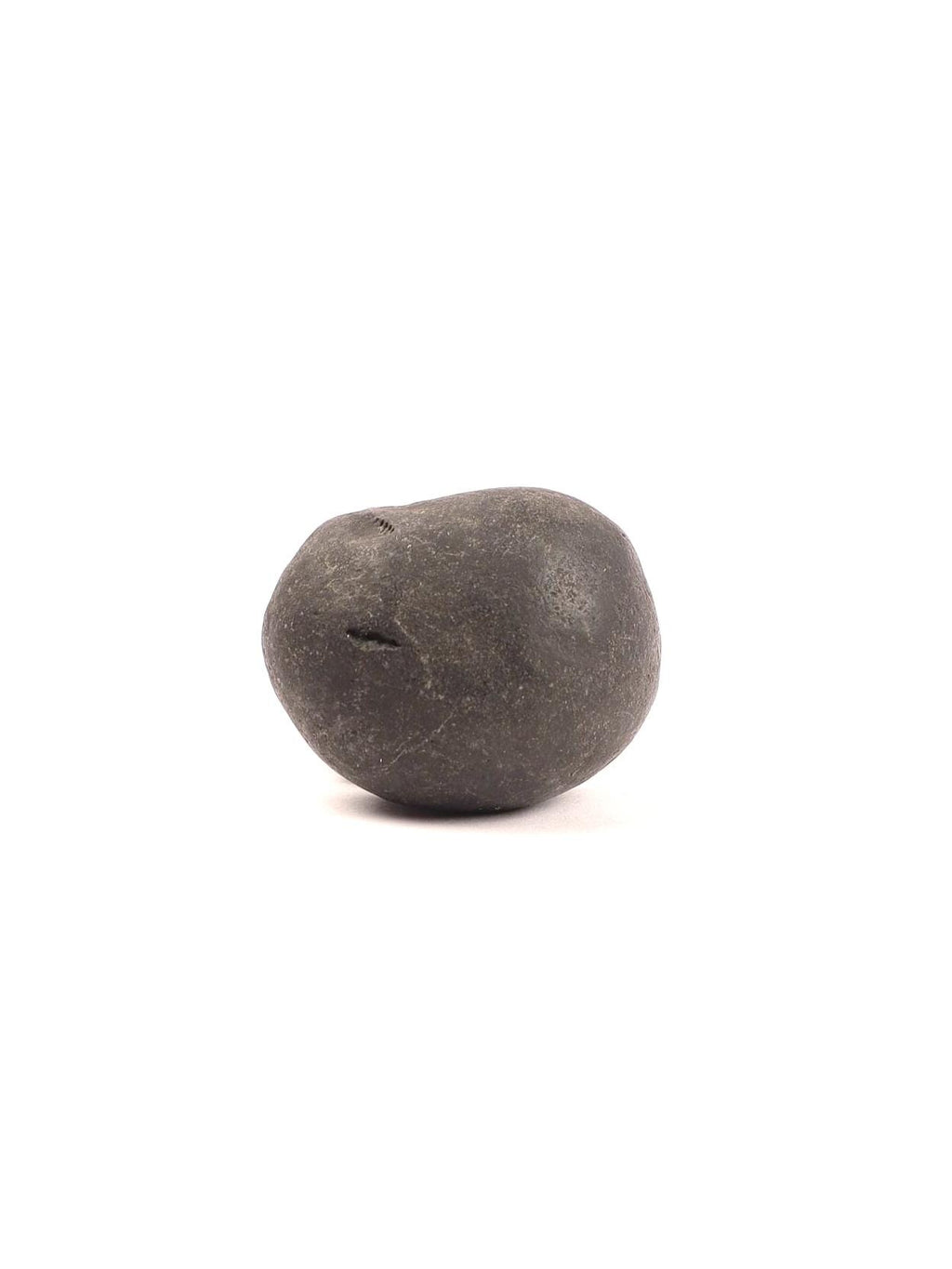 Kala Chakra Shaligram - Natural Formation Ammonite Fossil
