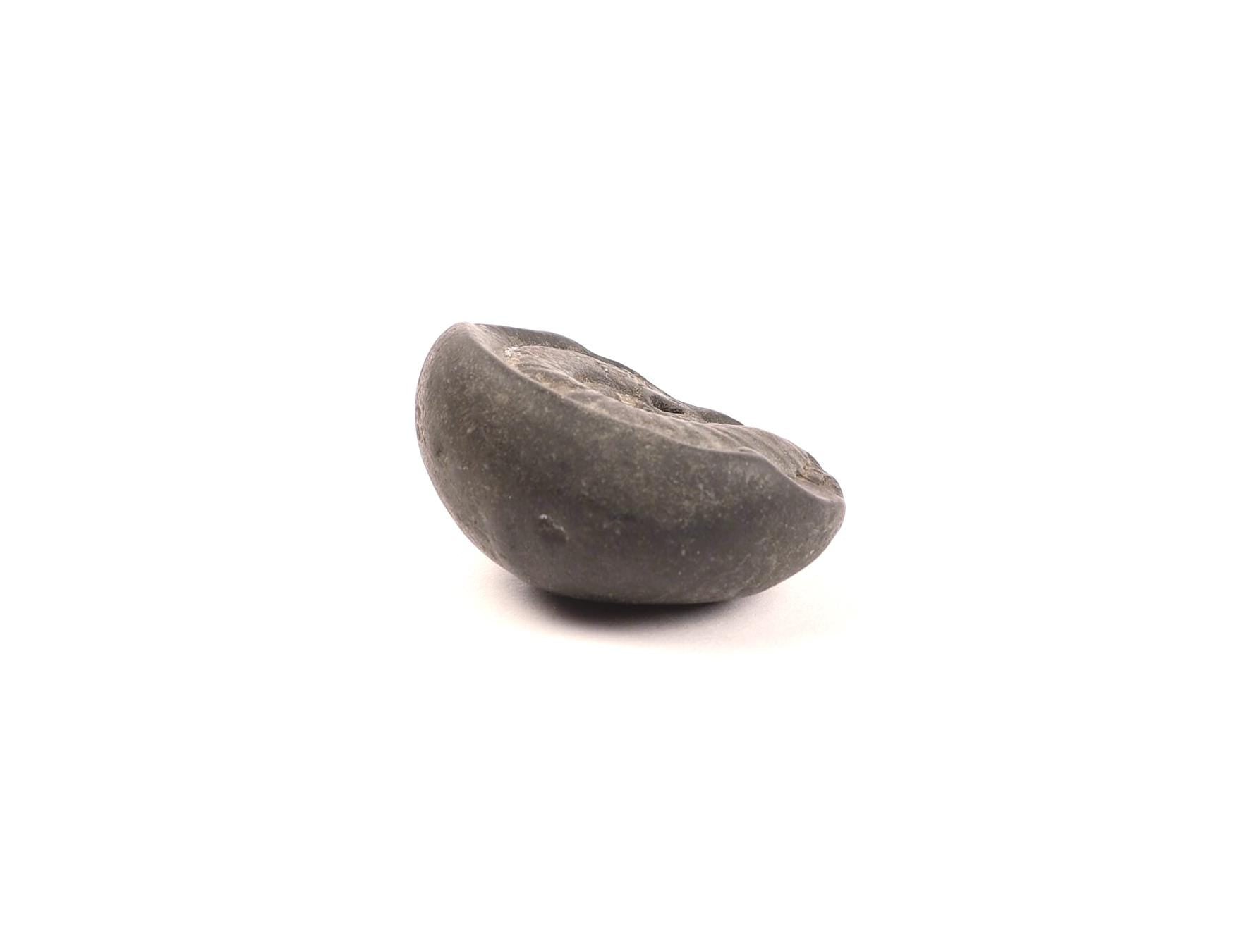 Kala Chakra Shaligram - Natural Formation Ammonite Fossil