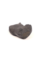 Divine Certified Shaligram Stone