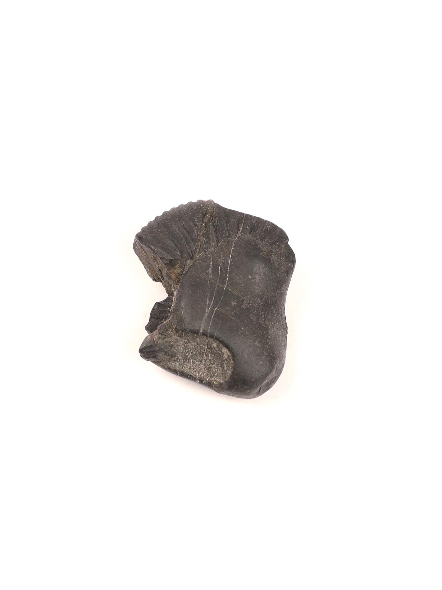 Divine Certified Shaligram Stone