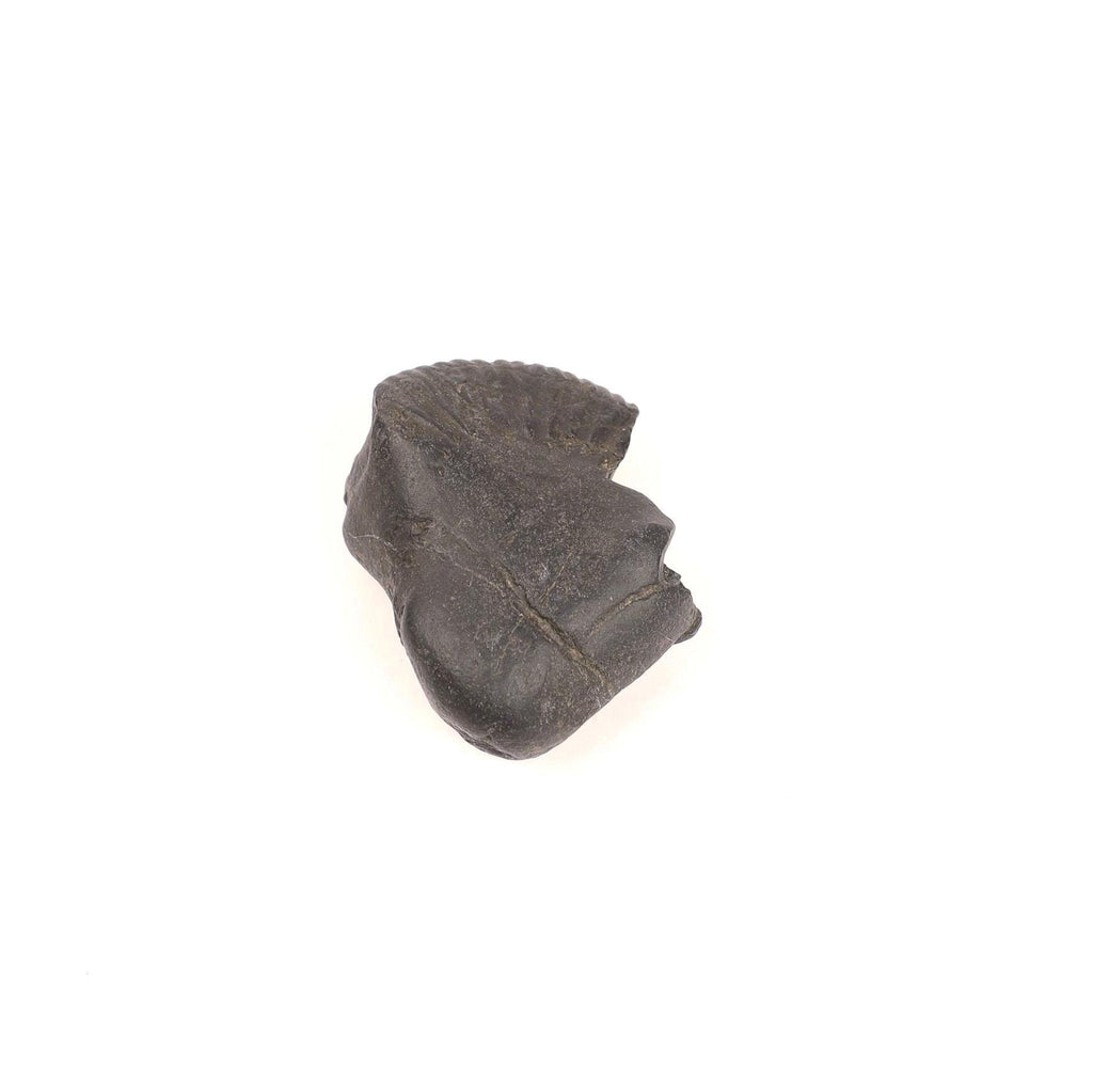 Divine Certified Shaligram Stone