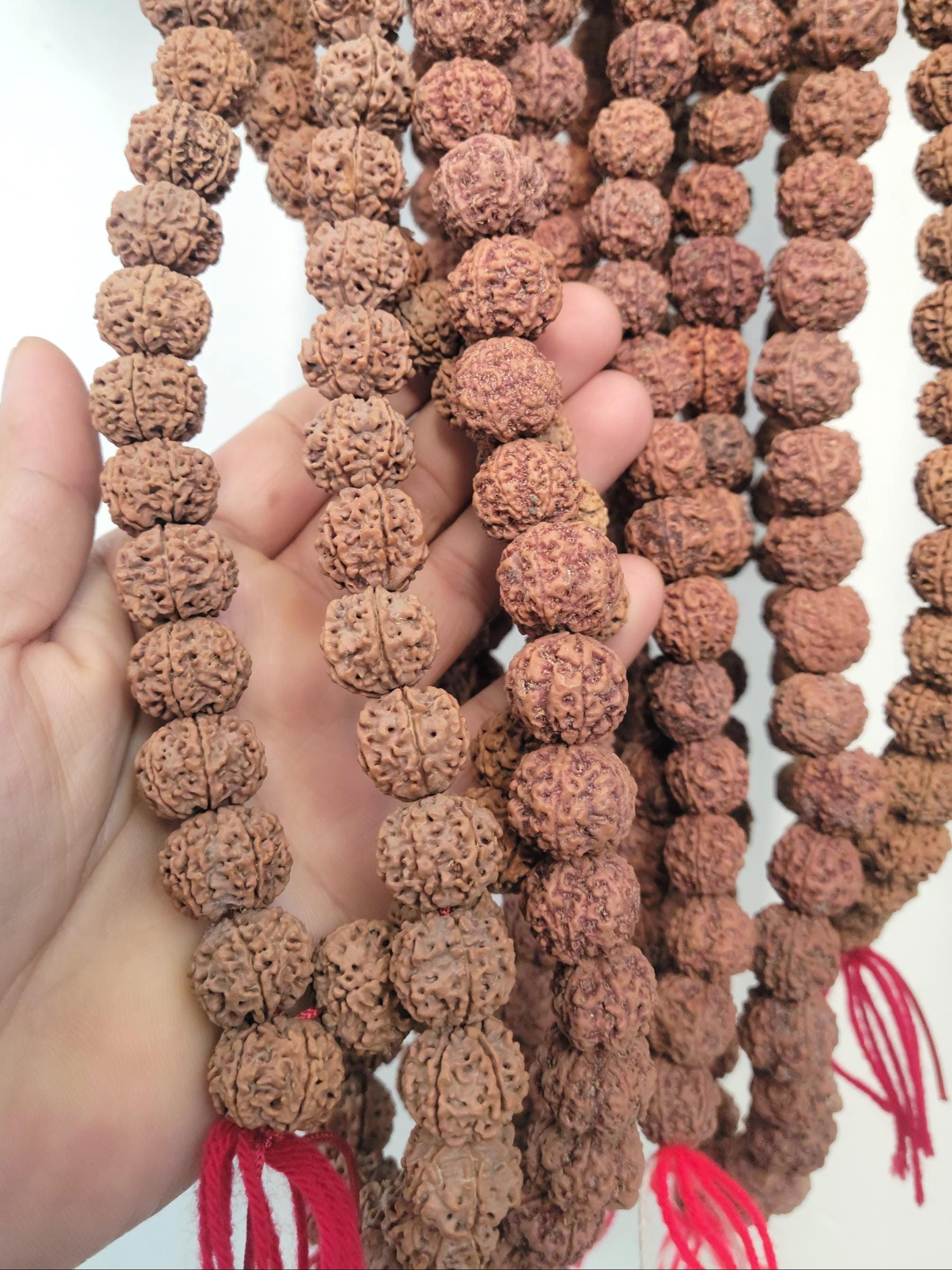 Bulk Rudraksha Donation, Sacred Offering By Om Kleem Kali
