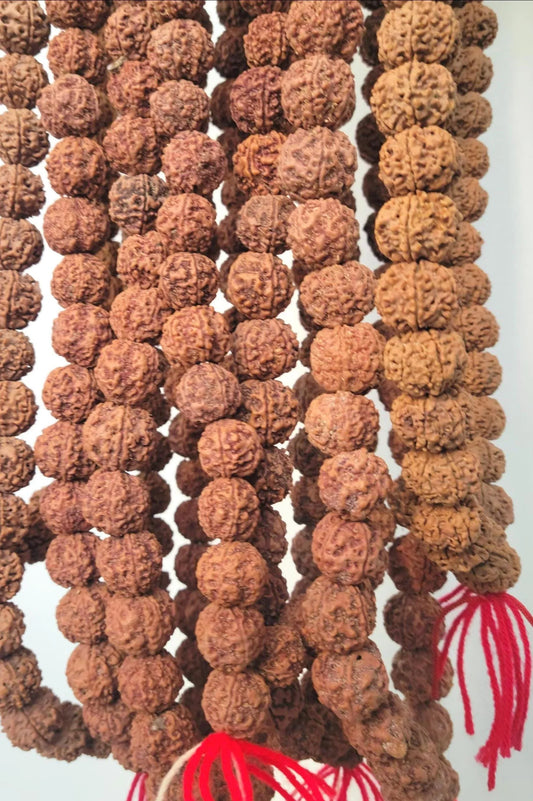 Bulk Rudraksha Donation, Sacred Offering By Om Kleem Kali