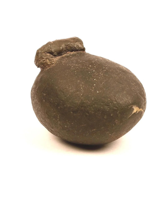 Authentic natural Shaligram stone from the Himalayas