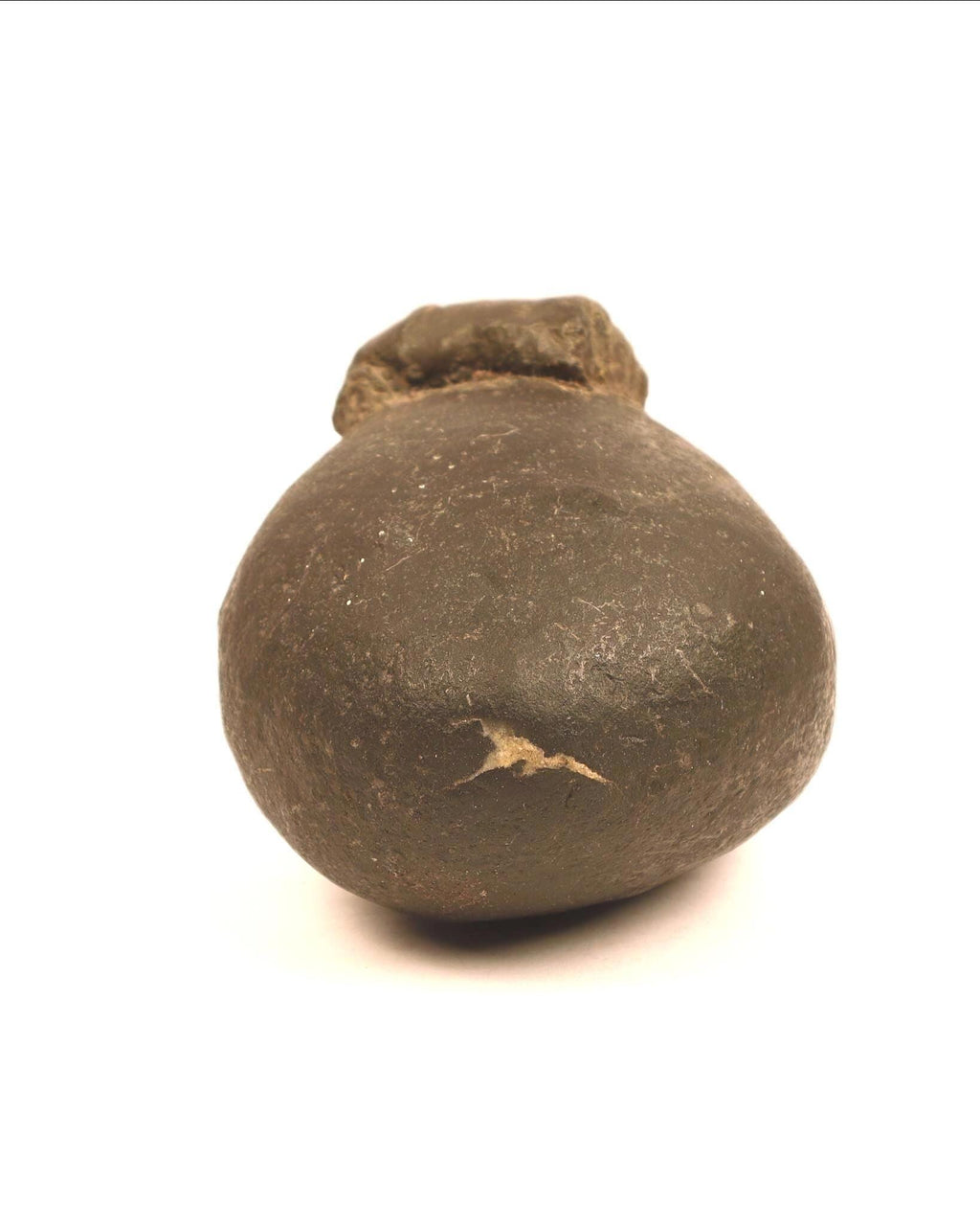Goddess Parvati Womb Shaligram Stone, Raw Gold, Large Nepal Fossil