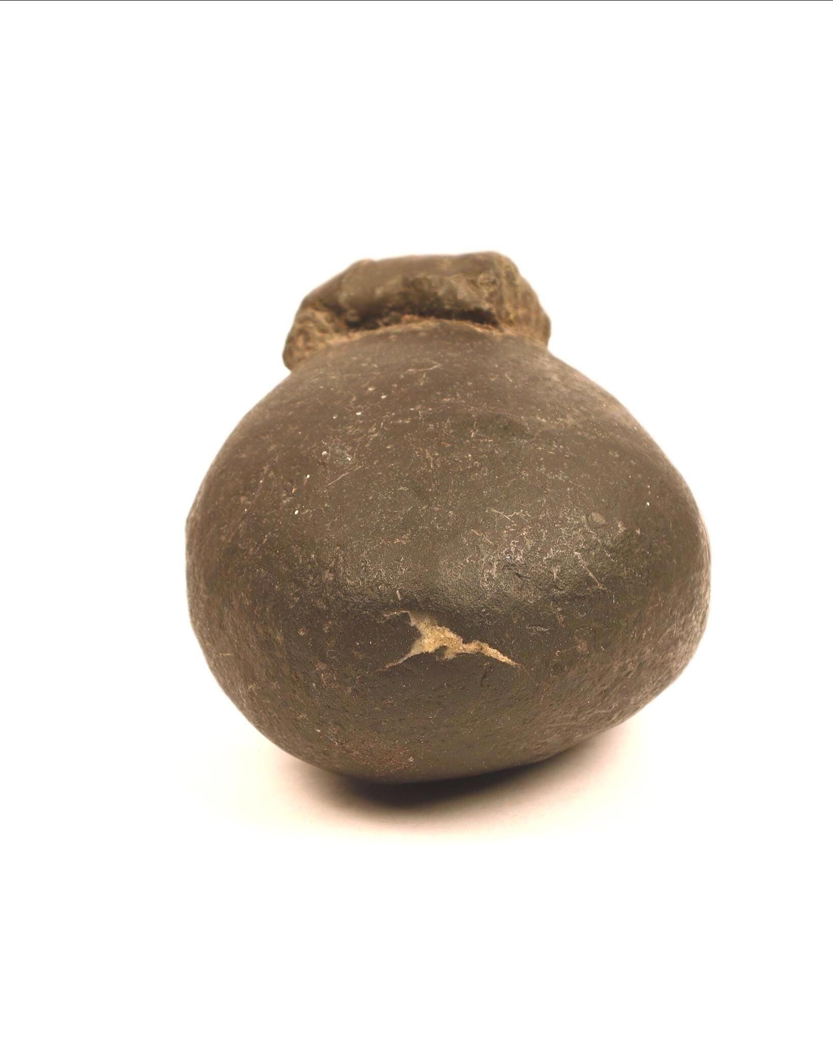 Goddess Parvati Womb Shaligram Stone, Raw Gold, Large Nepal Fossil