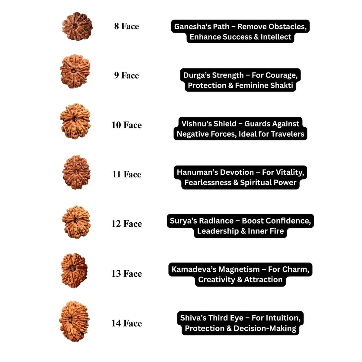 Chart of Rudraksha beads from 8 to 14 faces with their spiritual benefits.
