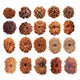 Collection of authentic Rudraksha beads in various sizes and colors