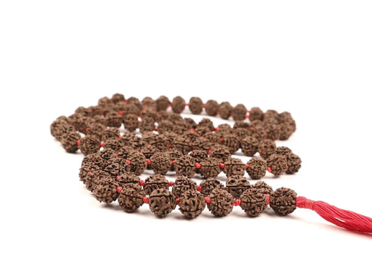 Authentic brown Rudraksha prayer beads mala with a red tassel on a white background