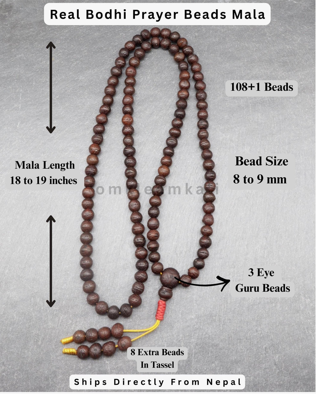 Ziziphus Budhensis Bodhi Prayer Bead Buddha Chitta Phoenix Eye 108+1 Beads 8 to 9mm Mala