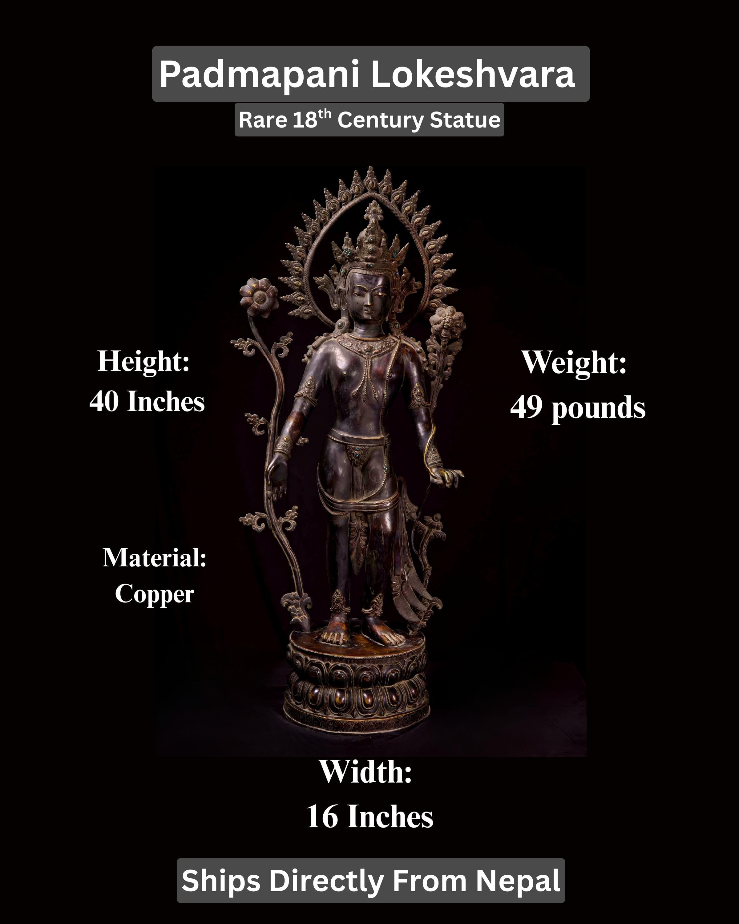 Padmapani Lokeshvara 18th Century Statue Large Himalayan Buddhist Sculpture 40x16 Inches