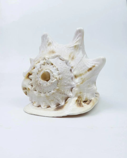 Authentic Spiritual Items from Om Kleem Kali