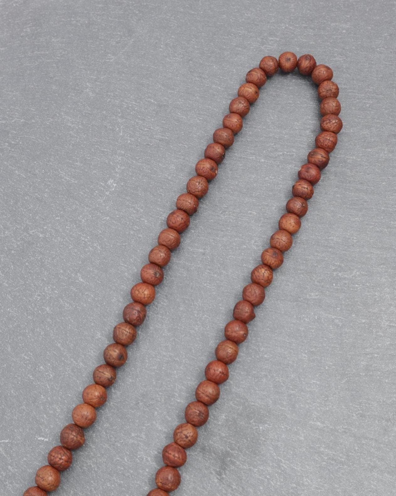 Bodhi Prayer Beads Ziziphus Budhensis Buddha Chitta Phoenix Eye Japa Mala