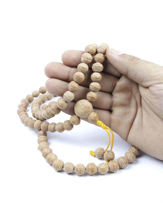 Bodhi Seed Mala 108 Beads Buddha Chitta Buddhist Prayer Mala Fresh Harvest Bodhi Seeds 10 to 11 mm