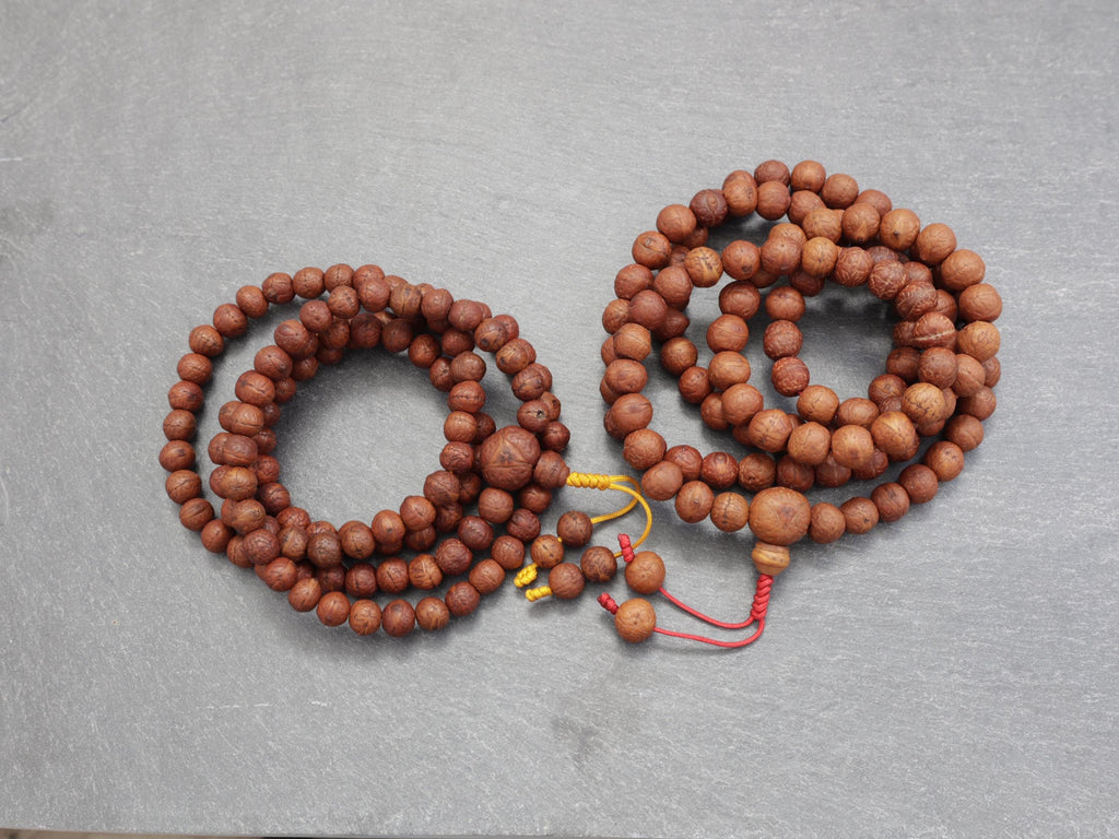 Buddha Japa Mala True Ziziphus Budhensis Lama Mantra Prayer Beads