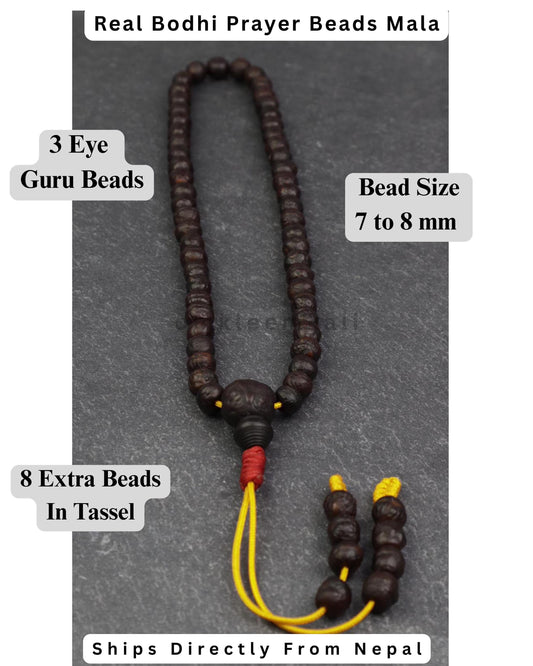 Precious 7 to 8mm Bodhi Prayer Beads, Premium Lama Japa Mala