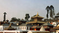Pashupatinath Donation
