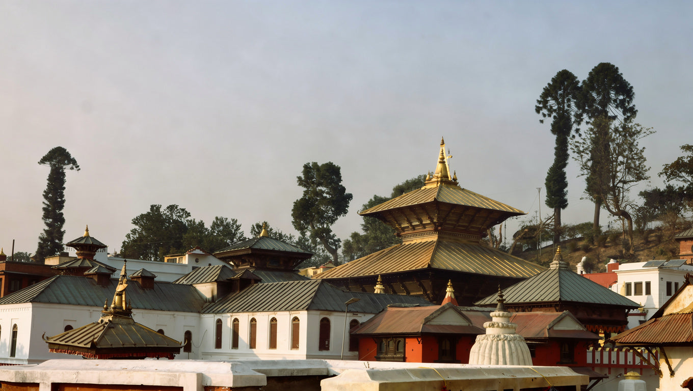 Pashupatinath Donation