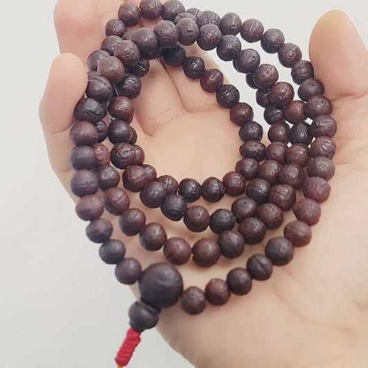 Ziziphus Budhensis Bodhi Prayer Bead Buddha Chitta Phoenix Eye 108+1 Beads 8 to 9mm Mala