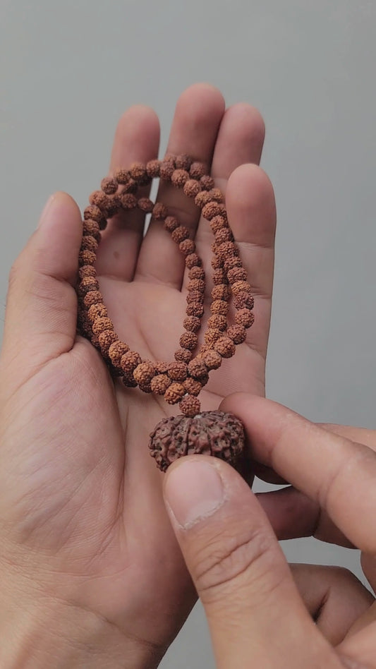 Authentic Rudraksha Mala, Choose Your Nepali Mukhi Guru Bead