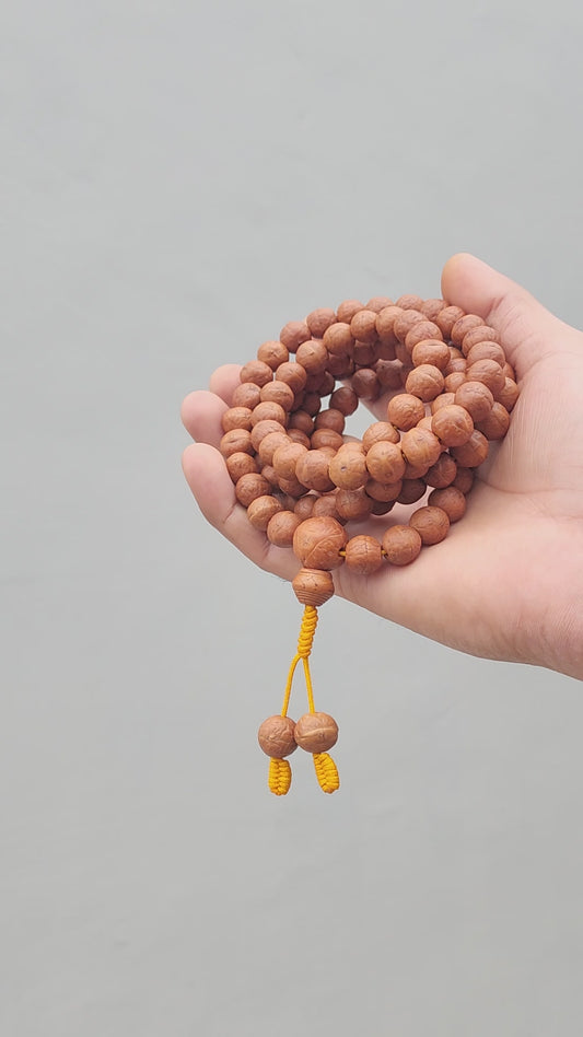 Natural Bodhi Seed, Buddhist Prayer Rosary Mala 10 to 11mm