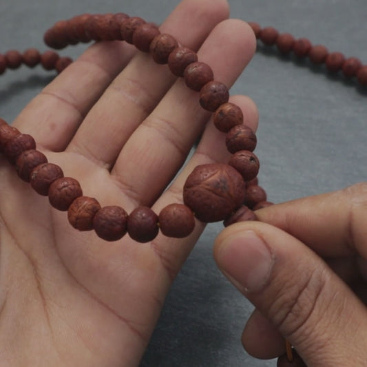 Beginner's Bodhi Seed Japa Mala, Buddhist Prayer Beads